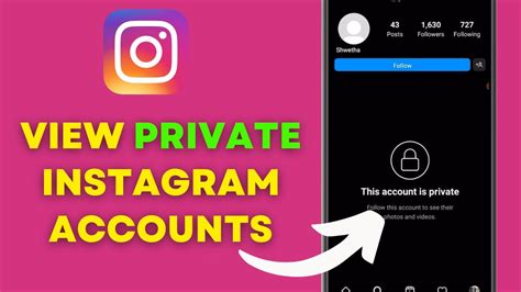 instagram followers viewer without account|How to View Instagram Without an Account